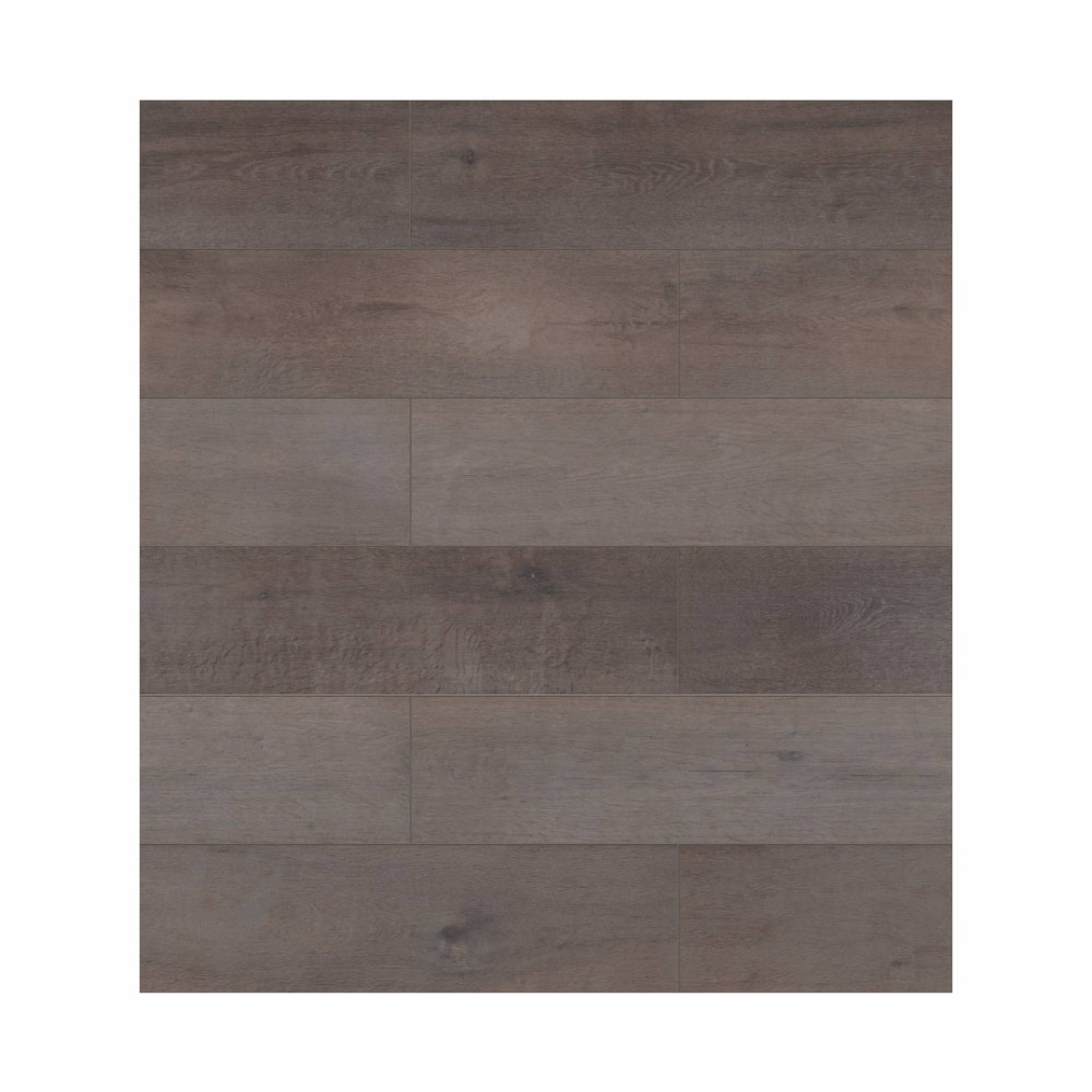 gCSXI6XJIUP6LvTyKlA7eWq0vv2BzvaVkyx1TXlb-1000x1000